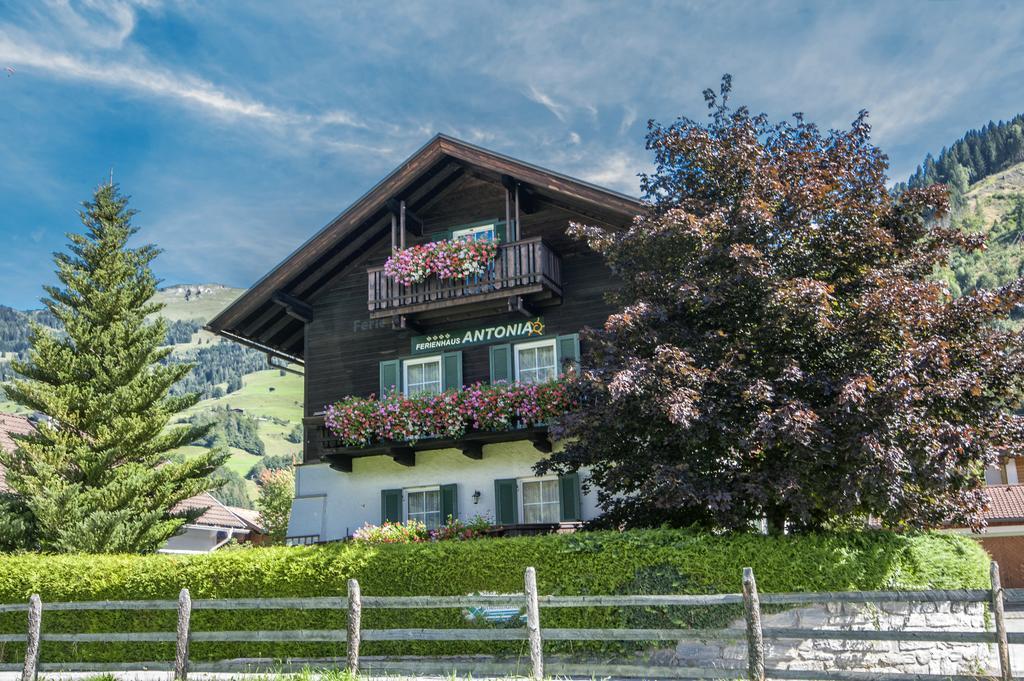 Ferienhaus Antonia Dorfgastein Extérieur photo